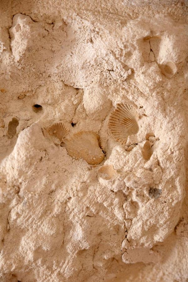 ホテル Apulian House ブリンディジ エクステリア 写真